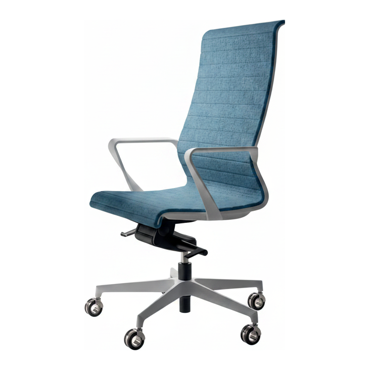 Dinamica and Dinamica Soft