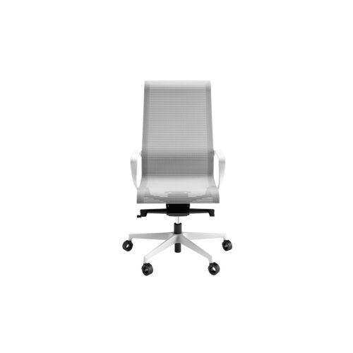 Dinamica and Dinamica Soft