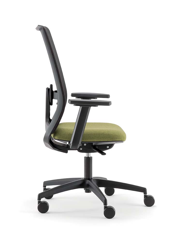 Orion - Everyday Collection