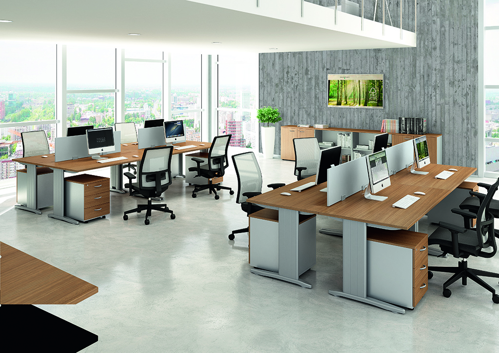 Practika P1 - Everyday Collection