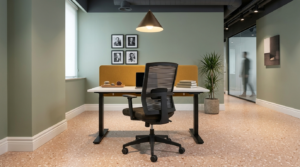 D227 sandalye ile çalışma alanı